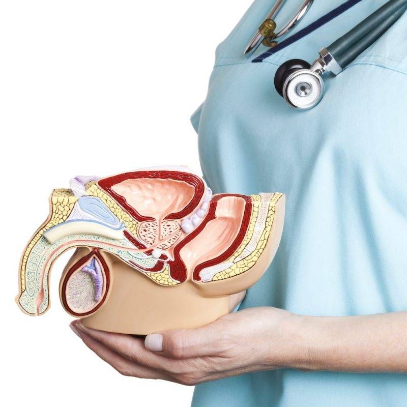 Je veux faire contrôler ma prostate